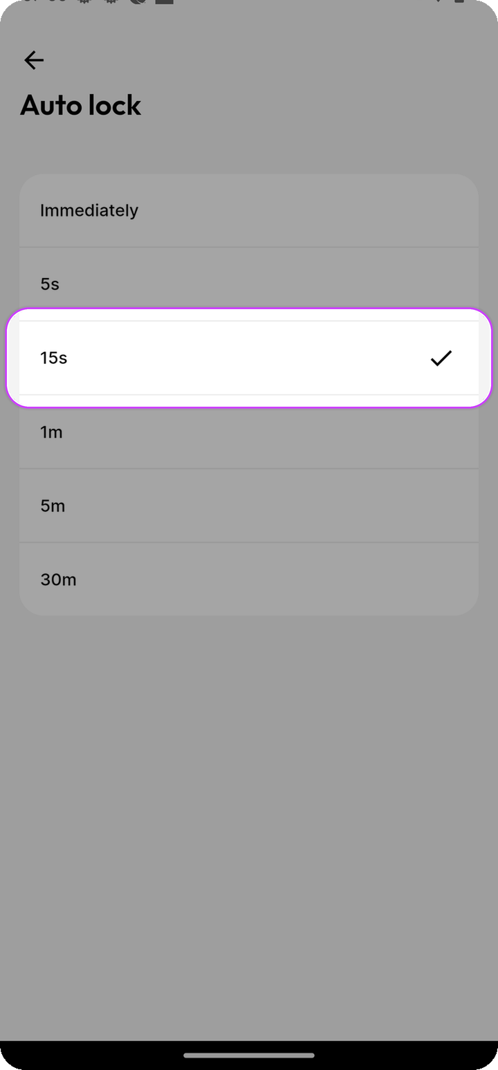 Auto lock timing sheet with 15s selected on Ente Auth mobile