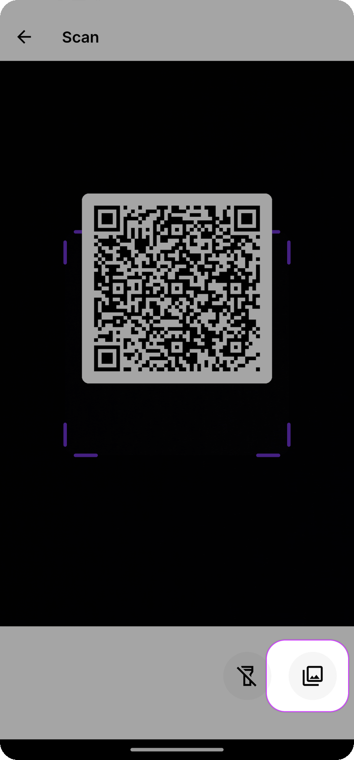 Scan QR camera with Import from Gallery on Ente Auth mobile