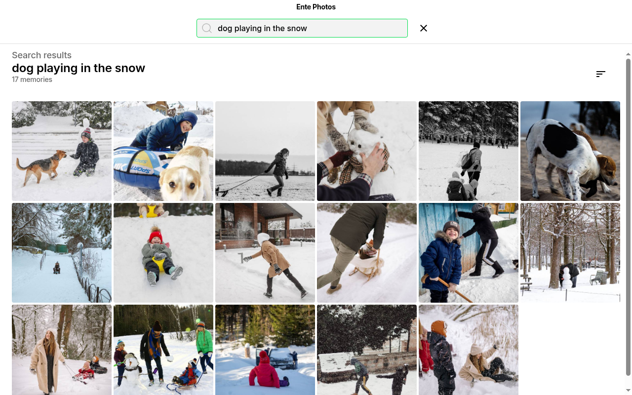 Magic search results for dog playing in the snow on Ente Photos desktop