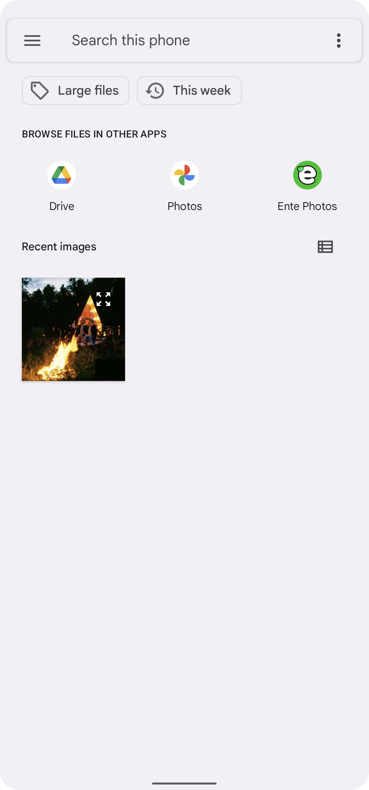 Android file picker listing Ente Photos beside Drive and Photos under Browse files in other apps