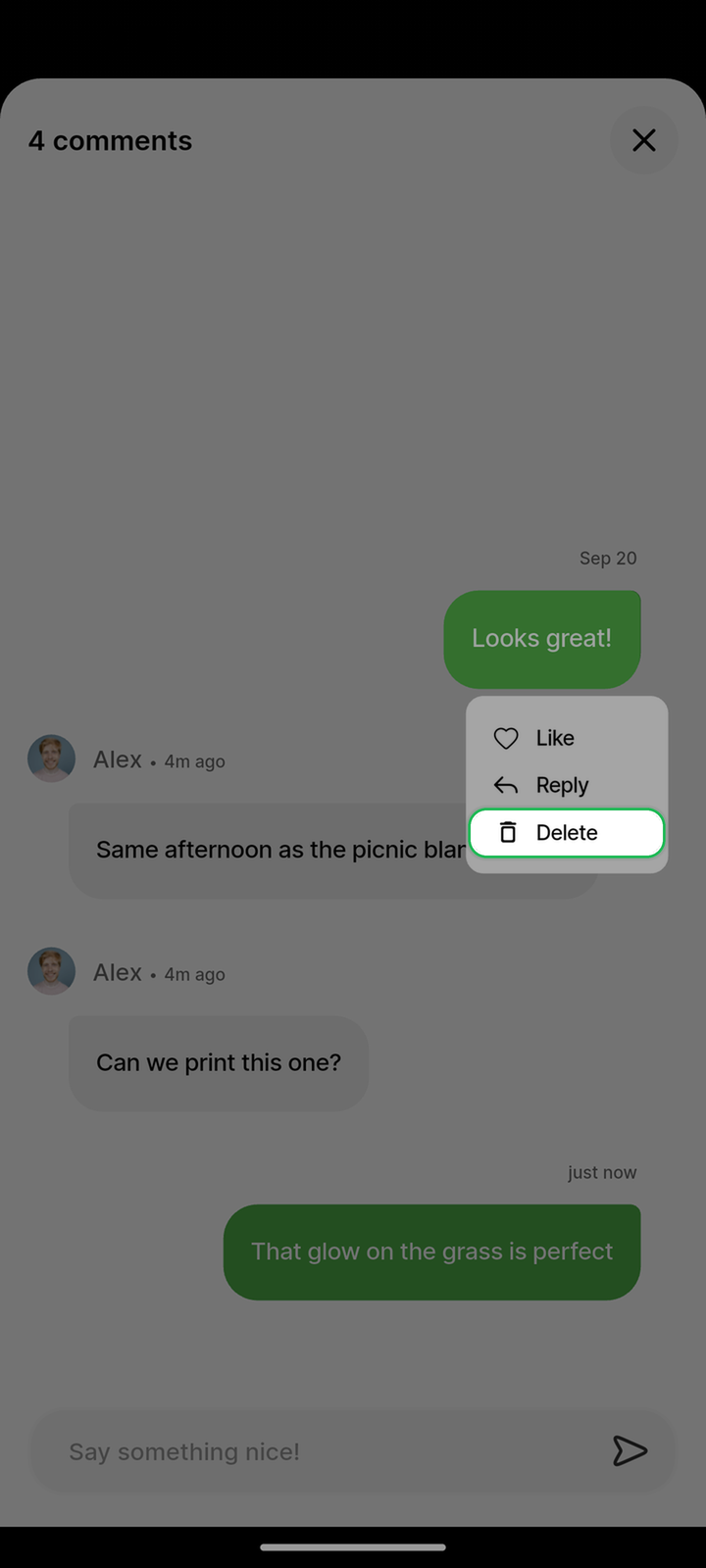 Long-press comment menu with Delete control highlighted on Ente Photos mobile