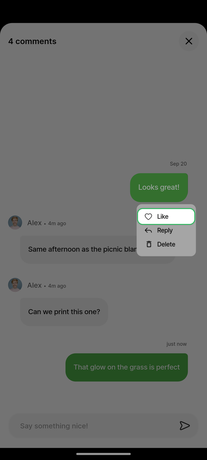 Long-press comment menu with Like control highlighted on Ente Photos mobile