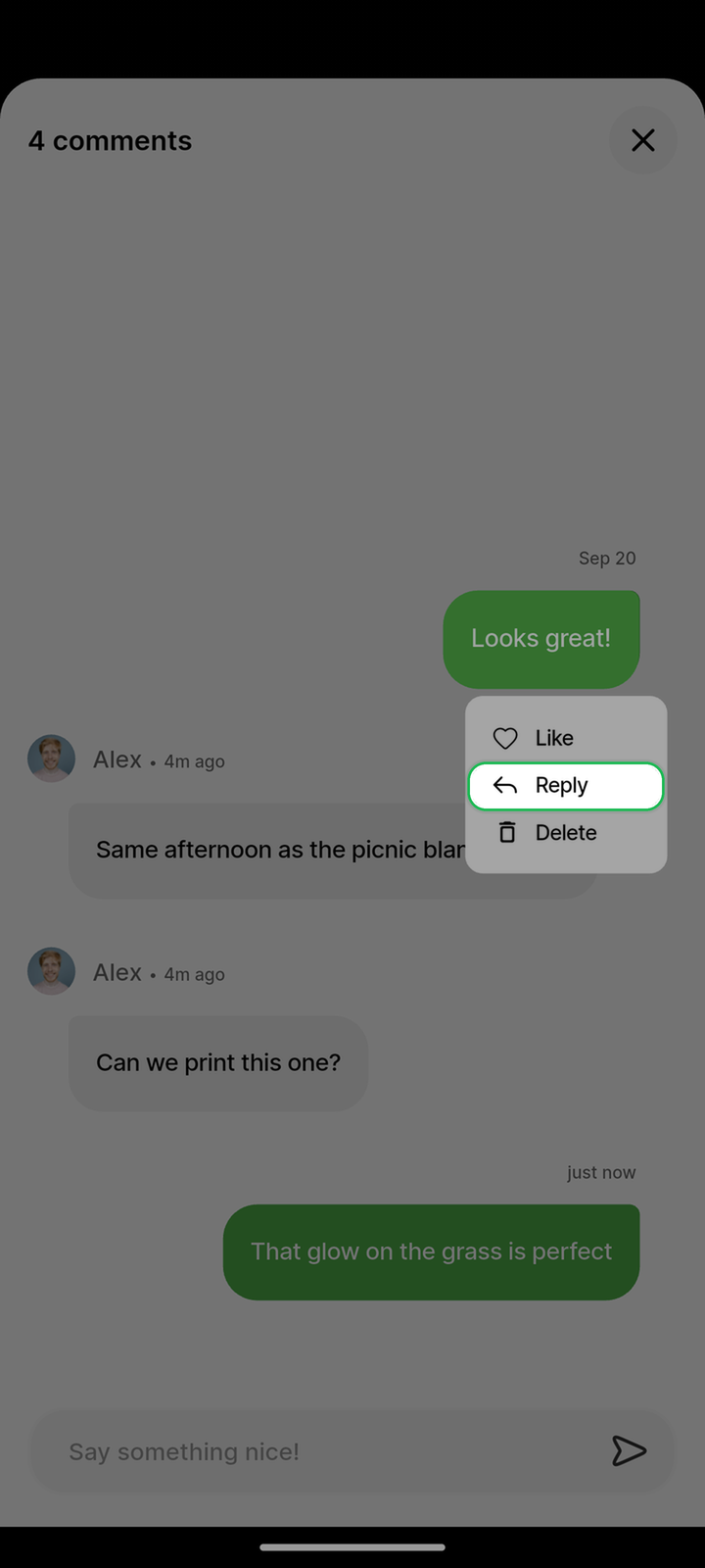 Long-press comment menu with Reply control highlighted on Ente Photos mobile