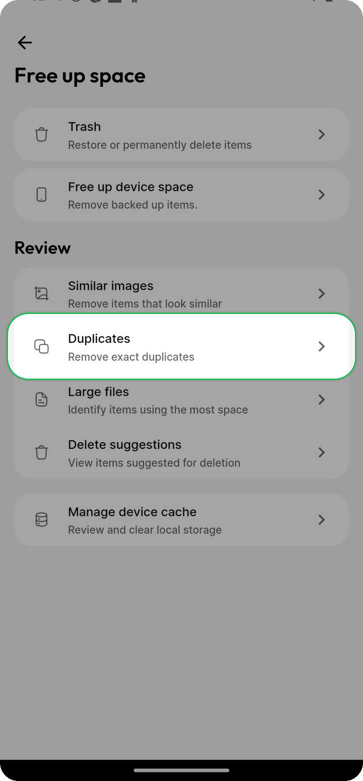 Free up space menu with Duplicates highlighted on Ente Photos mobile