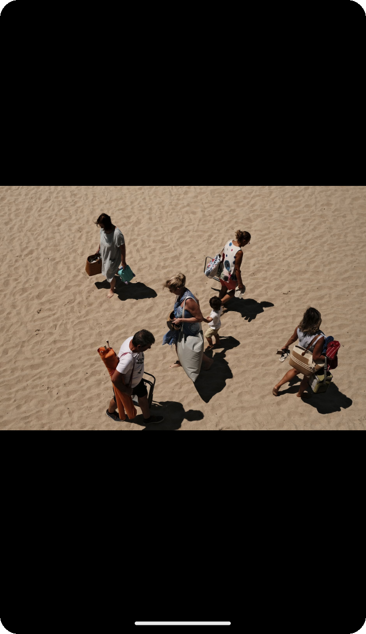 Distraction-free Guest view photo viewer on Ente Photos mobile