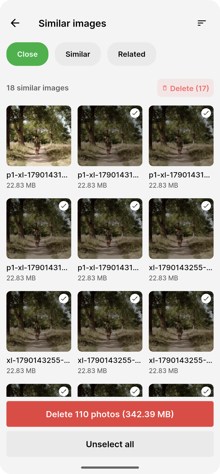 Similar images results with grouped near-duplicates ready to delete on Ente Photos mobile