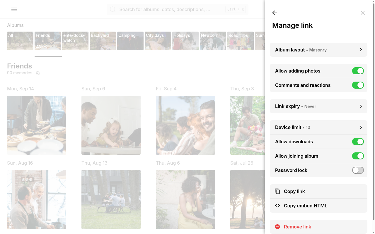 Manage public link options on Ente Photos web