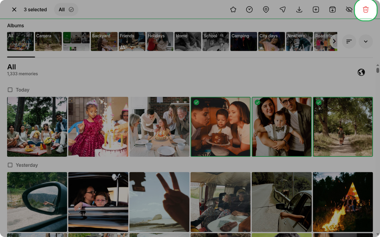 Delete action highlighted in the selection toolbar on Ente Photos web