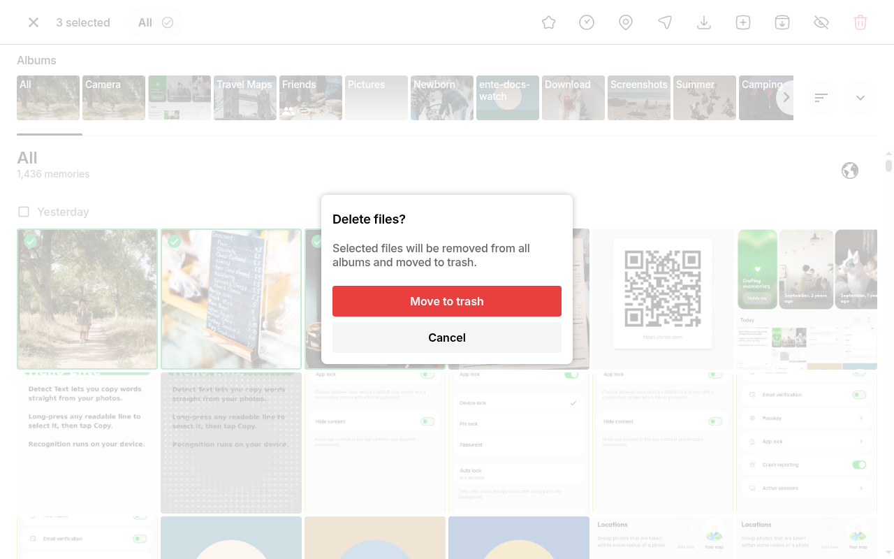 Delete files confirmation dialog to move selection to trash on Ente Photos web