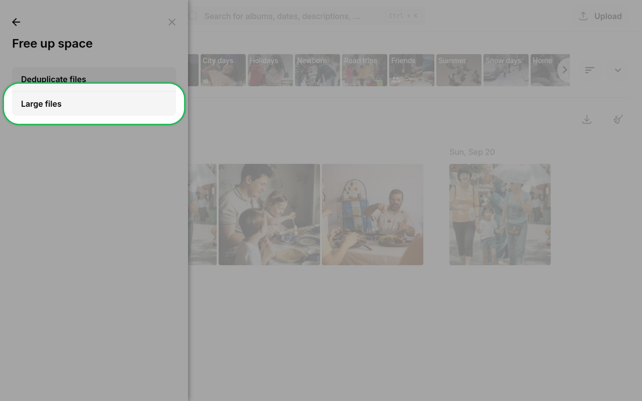 Large files option highlighted under Free up space on Ente Photos web