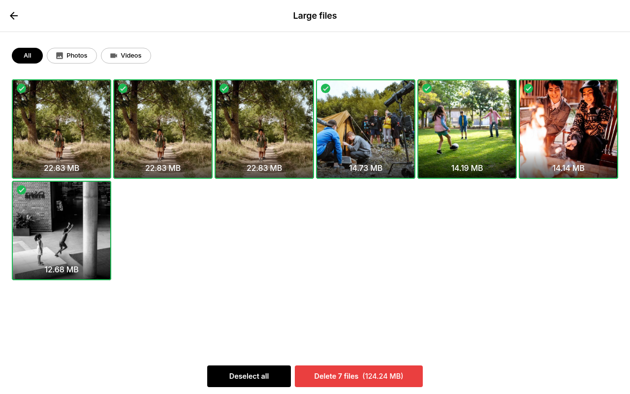 Large files browser with All Photos and Videos filters on Ente Photos web