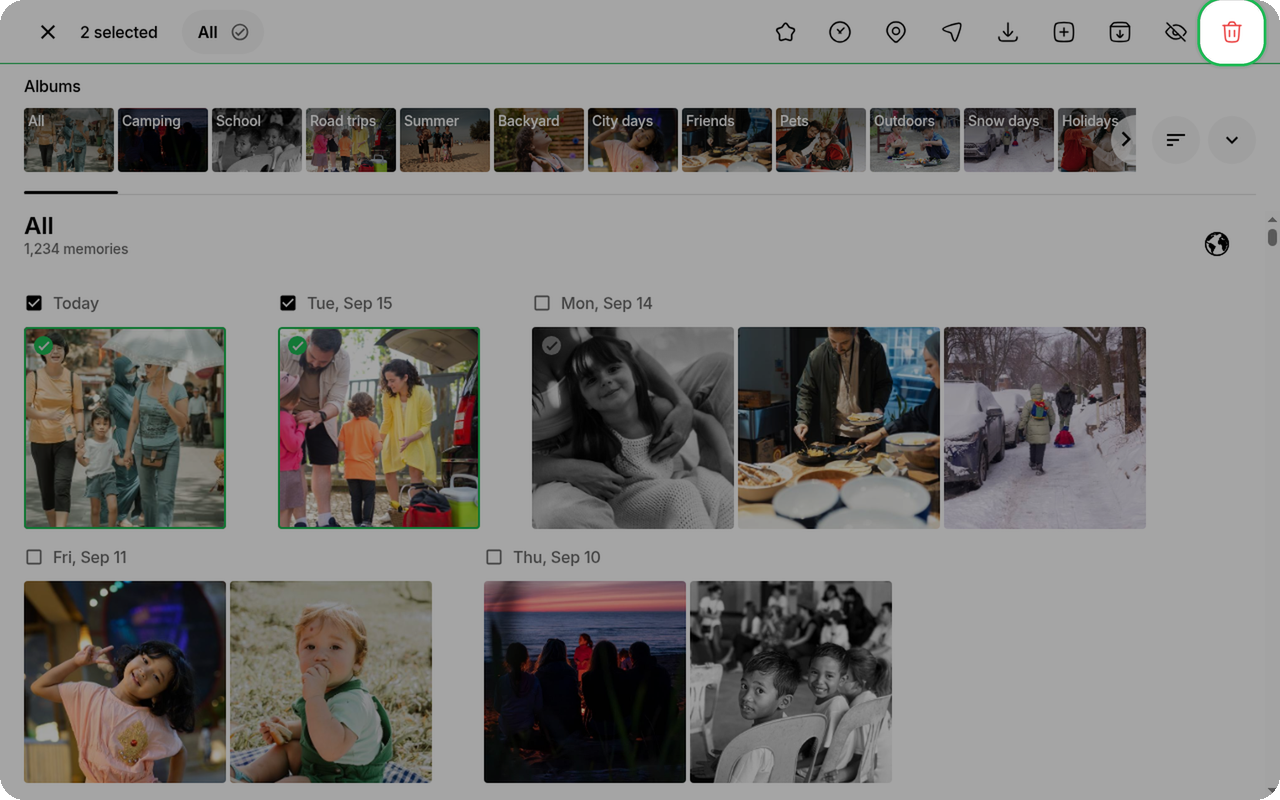 Delete action highlighted in the header on Ente Photos web