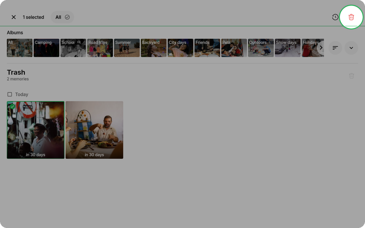Delete permanently control highlighted for a selected item in Trash on Ente Photos web